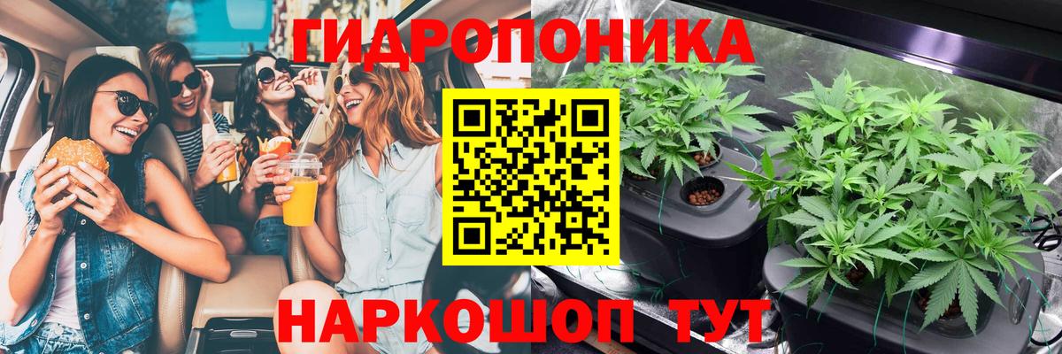 Конопля индика Саяногорск